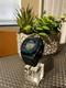 Casio Gshock DW5600E-1V Custom Blue Bezel /Holder Stainless Steel