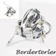 Custom 3D Printed Stainless Steel Male Chastity Cage with 6 Keyholes Lock Device