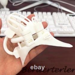 Custom 3D Printed Stainless Steel Male Chastity Cage with 6 Keyholes Lock Device