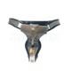 New Custom Stainless Steel Chastity Lock Women Adjustable Chastity Belt Bondage