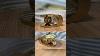 Stainless Steel Ball Table Gold Pvd Finish Custom Made