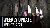 Weekly Update 149 Pink Spyderco Putman Mini Bugout Custom Scales Mkm Vox Mikro And More